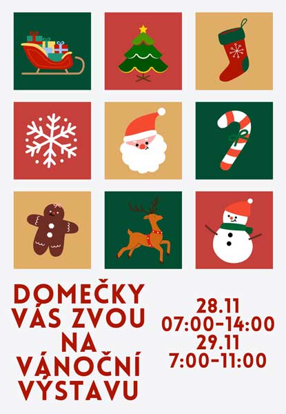vanocni vystava